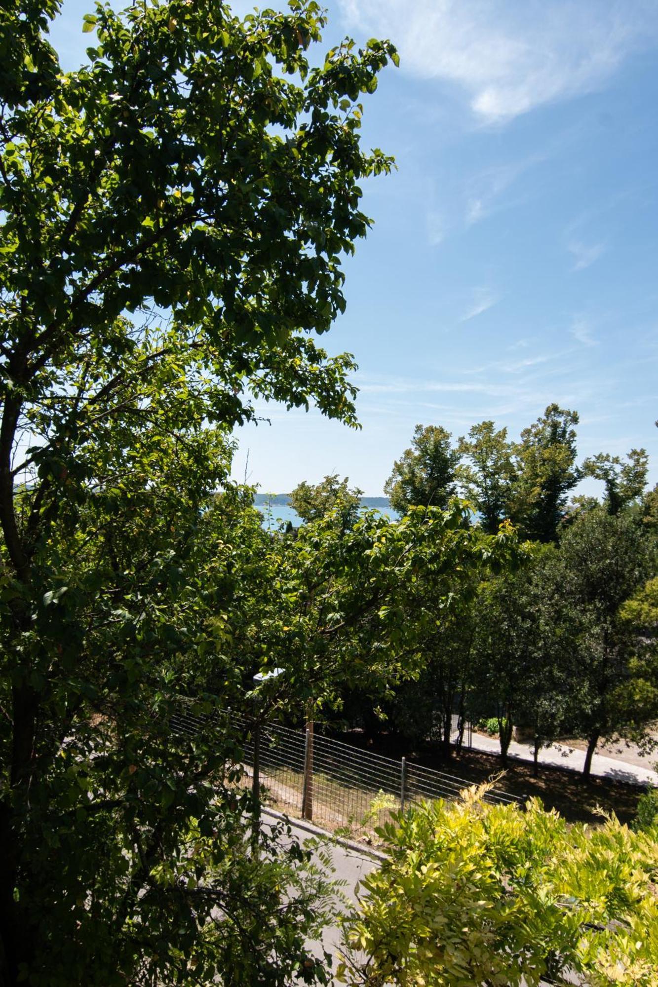 Forgotten Garden Apartments Portorož Rom bilde